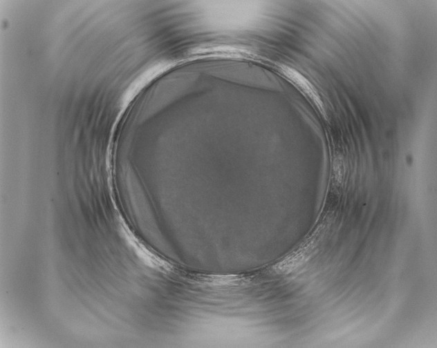 X0000087021482200705071457