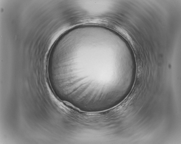 X0000087021483200705071457