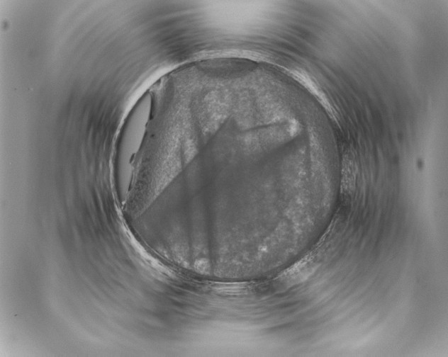 X0000087021484200705071457