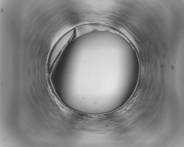 X0000087021485200705071457