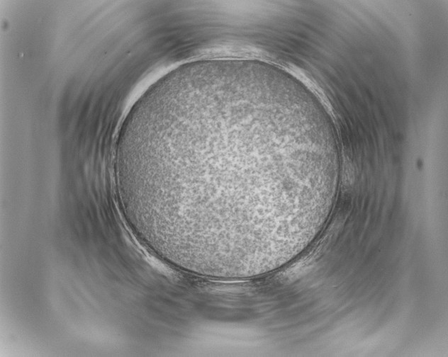 X0000087021486200705071457