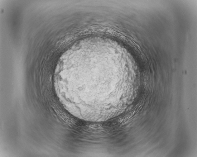 X0000087021489200705071456