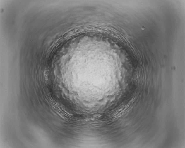 X0000087021490200705071456