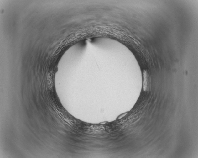 X0000087021491200705071456