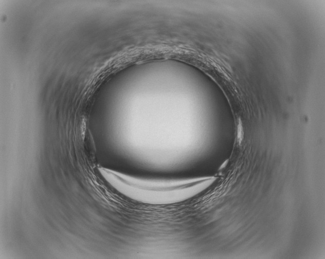 X0000087021492200705071456