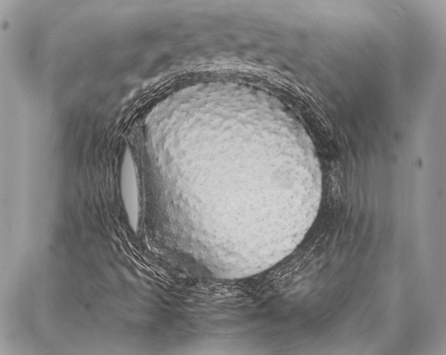 X0000087021493200705071456