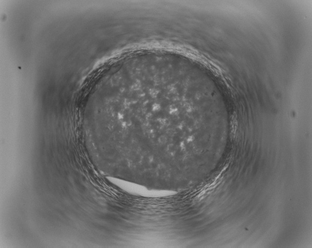 X0000087021494200705071456