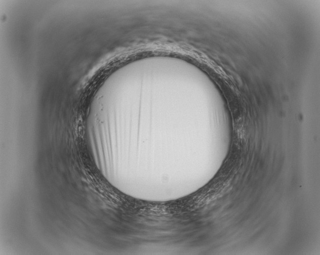 X0000087021495200705071456