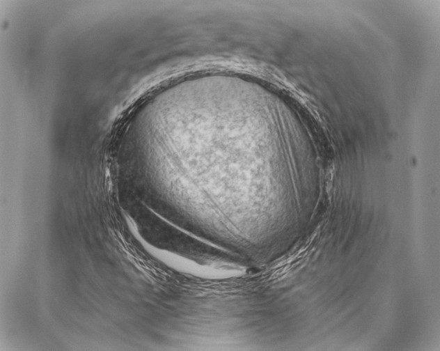 X0000087021496200705071456