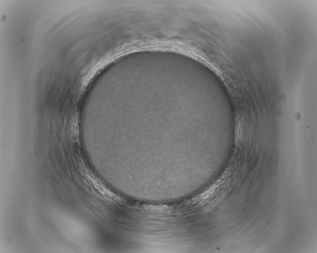 X0000087021498200705071456