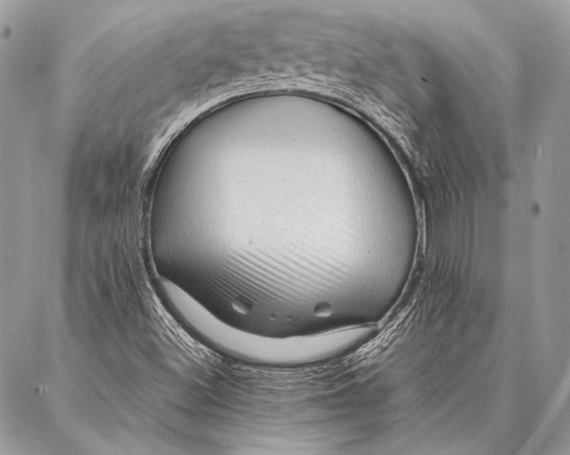 X0000087021500200705071456