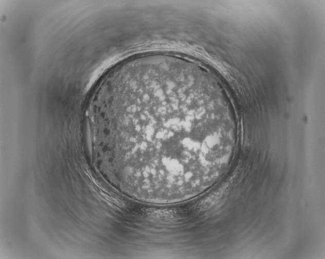 X0000087021501200705071456