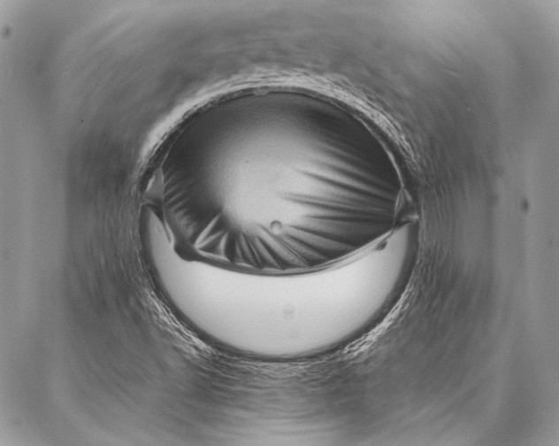 X0000087021502200705071456