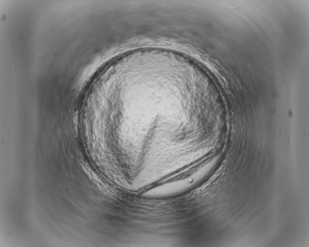 X0000087021503200705071456