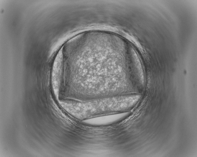 X0000087021504200705071456