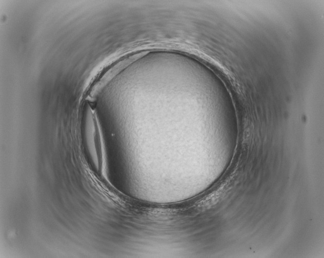 X0000087021506200705071457