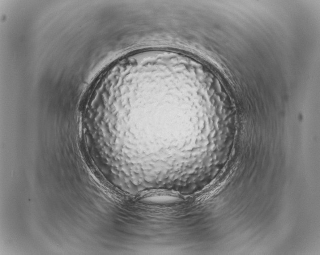 X0000087021509200705071457