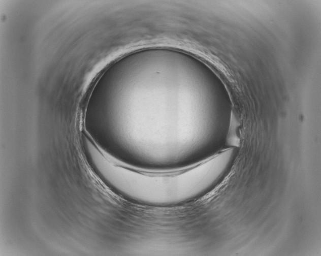 X0000087021510200705071457