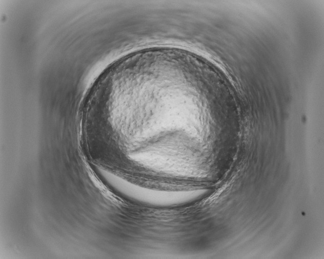 X0000087021511200705071457