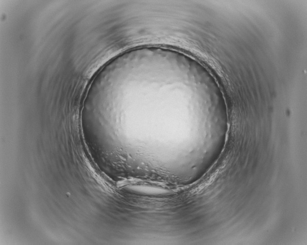 X0000087021513200705071457