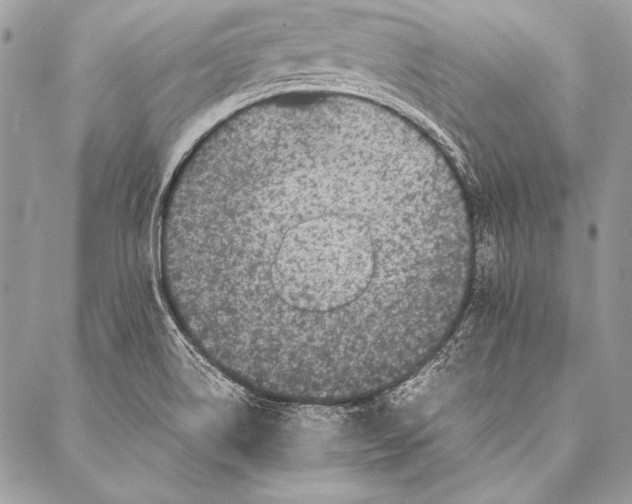 X0000087021514200705071457