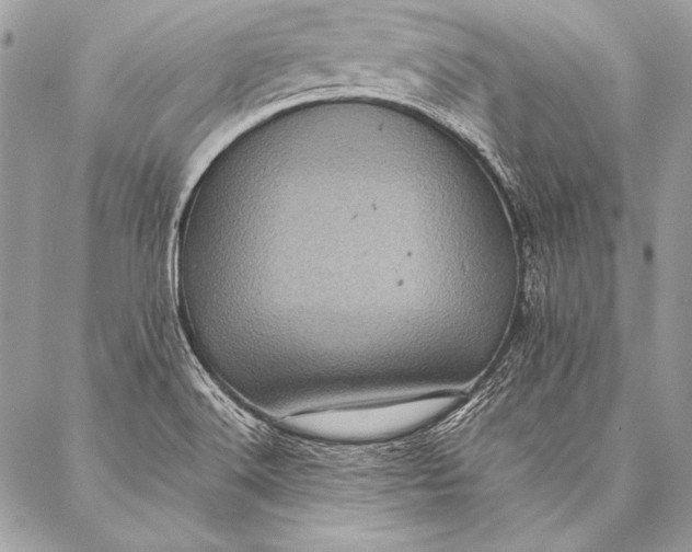 X0000087021516200705071457