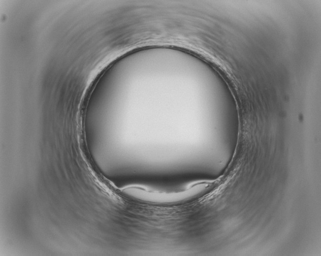 X0000087021517200705071457