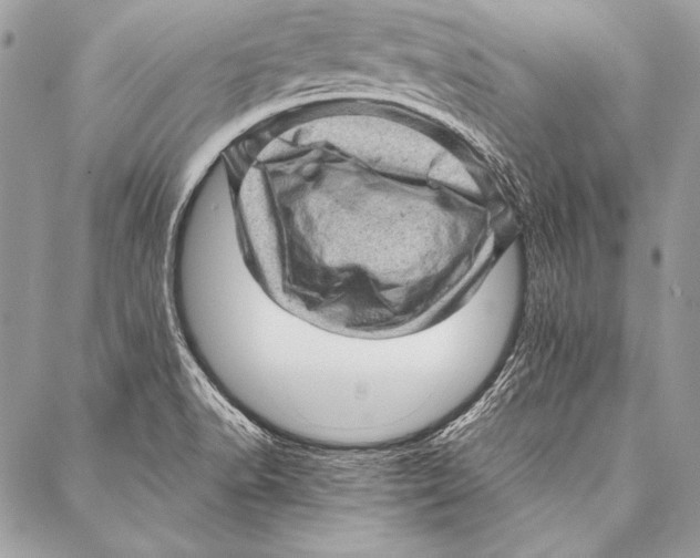 X0000087021518200705071457