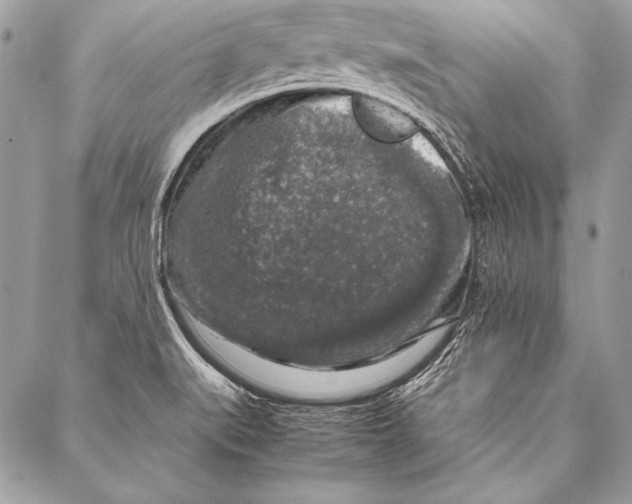 X0000087021519200705071457