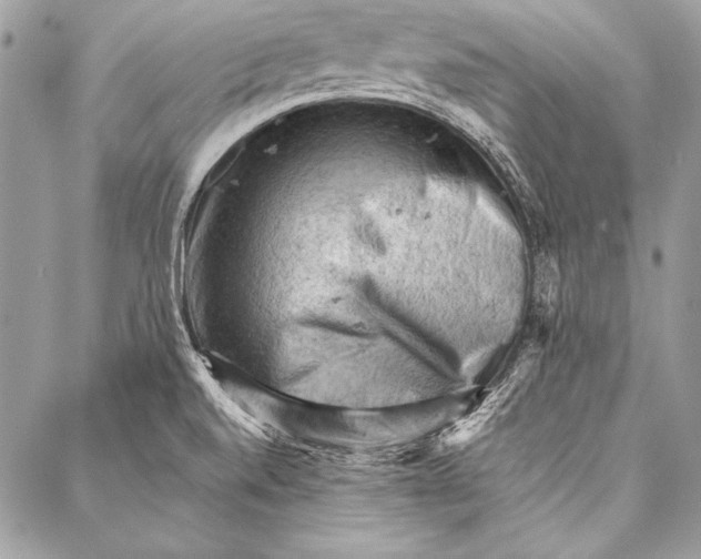 X0000087021520200705071457