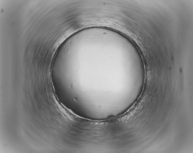 X0000087021521200705071457