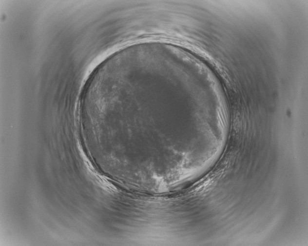 X0000087021522200705071457