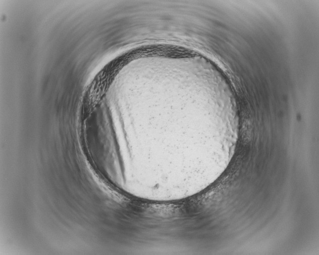 X0000087021523200705071457