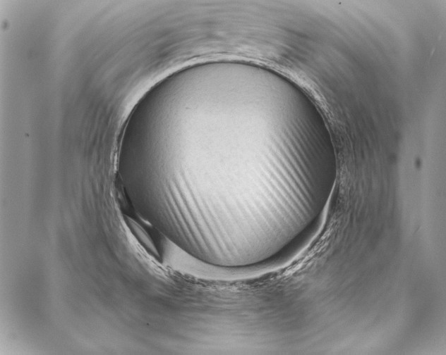 X0000087021524200705071457