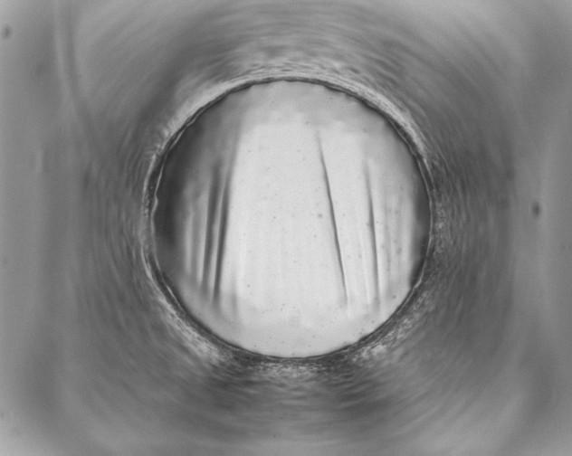 X0000087021525200705071457