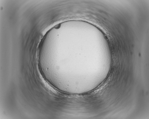 X0000087021526200705071457