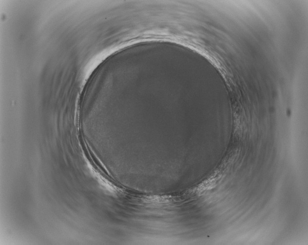 X0000087021527200705071457