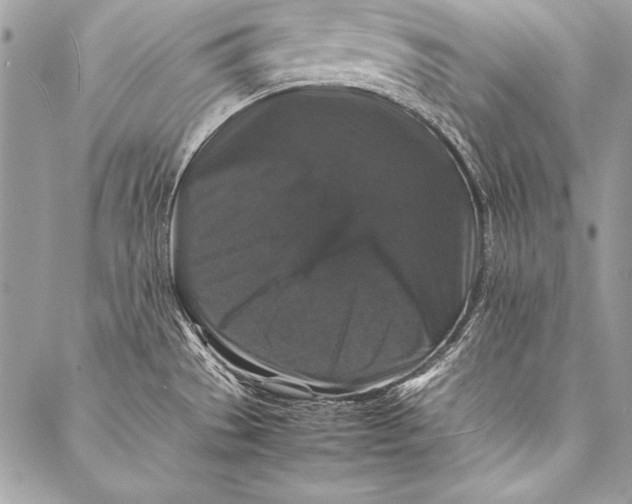 X0000087021529200705071457