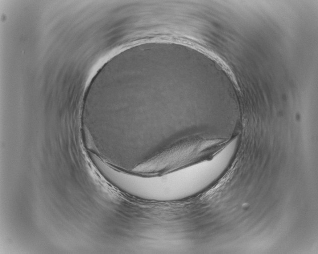 X0000087021530200705071457