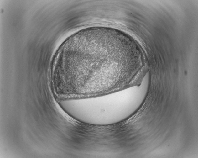 X0000087021531200705071457