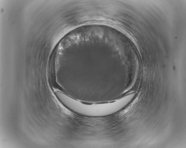 X0000087021533200705071457