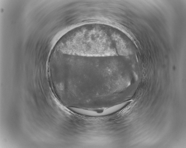 X0000087021535200705071457