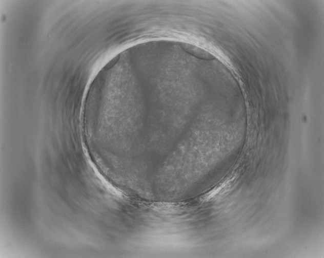 X0000087021536200705071457