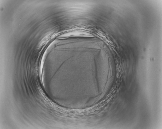 X0000087020002200705141908