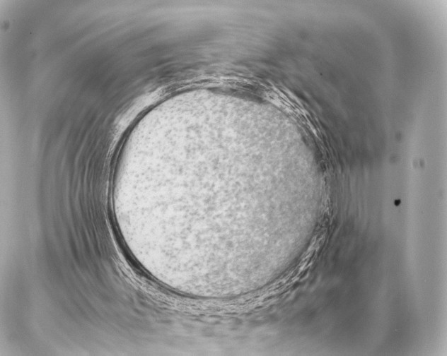 X0000087020003200705141908