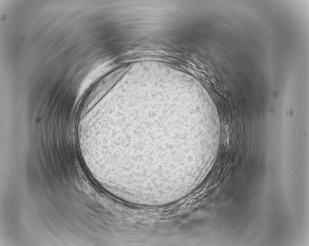 X0000087020004200705141908