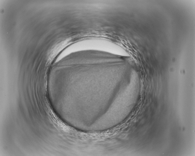 X0000087020005200705141908