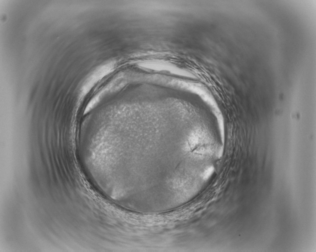 X0000087020006200705141908