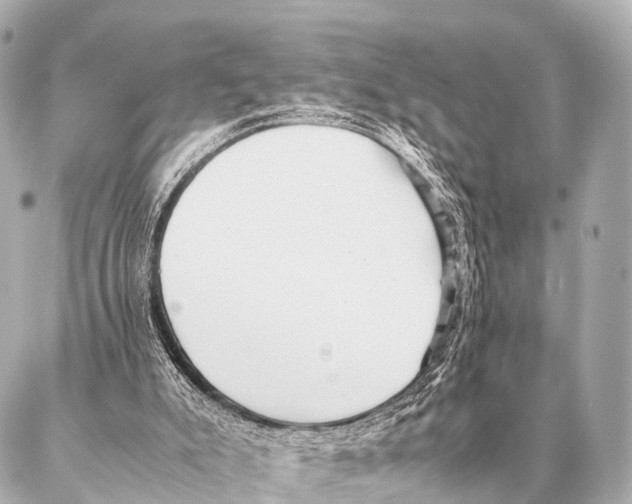 X0000087020007200705141908