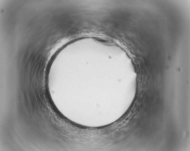 X0000087020008200705141908